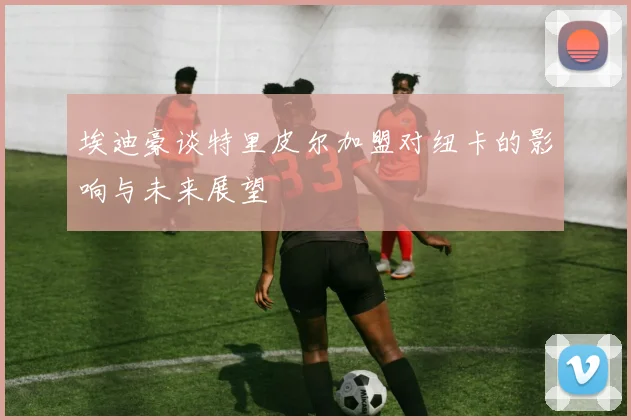 埃迪豪谈特里皮尔加盟对纽卡的影响与未来展望